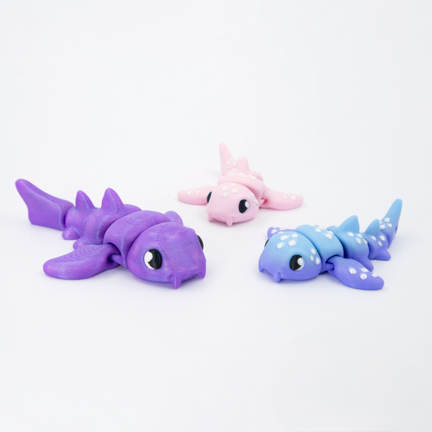 Chompy the Shark