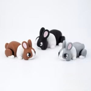 Hoppy the Rabbit