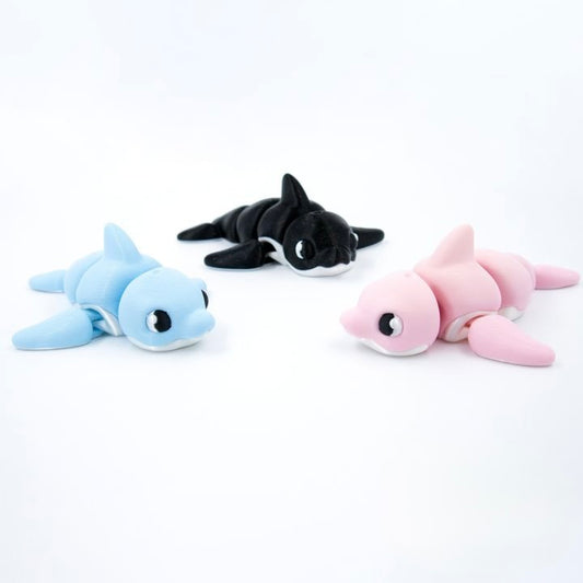 Splashy the Dolphin