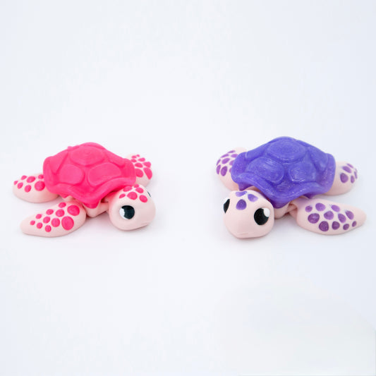 Shelly the Turtle